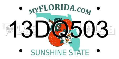 13DQ503 Florida License Plate
