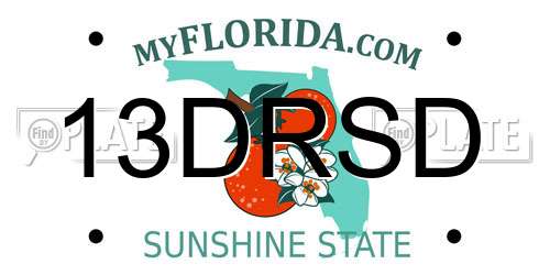 13DRSD Florida License Plate
