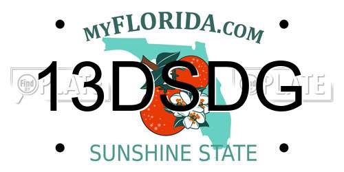 13DSDG Florida License Plate
