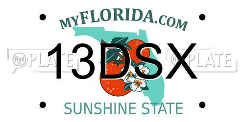 13DSX Florida License Plate