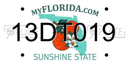13DT019 Florida License Plate