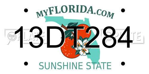 13DT284 Florida License Plate