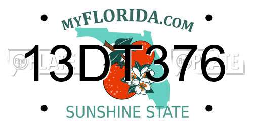 13DT376 Florida License Plate
