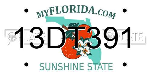 13DT391 Florida License Plate