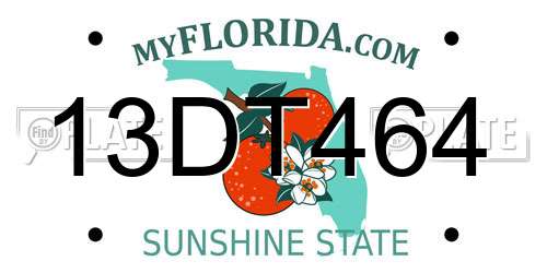 13DT464 Florida License Plate