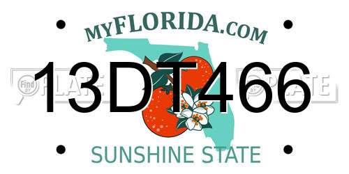 13DT466 Florida License Plate