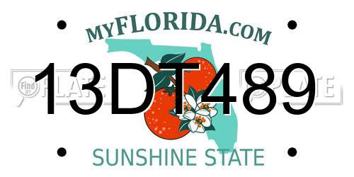 13DT489 Florida License Plate
