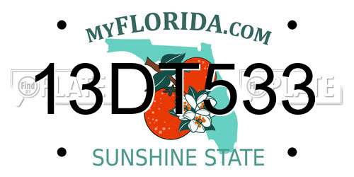 13DT533 Florida License Plate