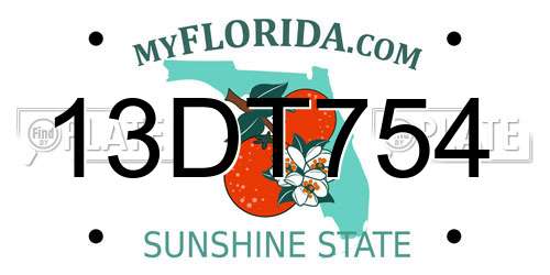 13DT754 Florida License Plate