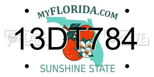 13DT784 Florida License Plate