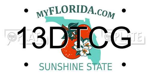 13DTCG Florida License Plate