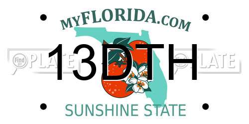 13DTH Florida License Plate
