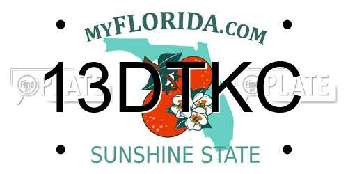 13DTKC Florida License Plate