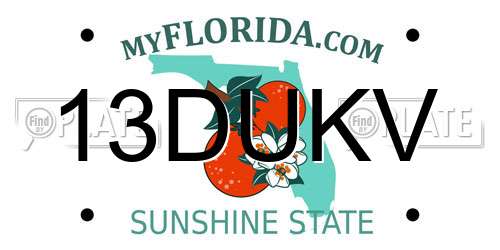 13DUKV Florida License Plate