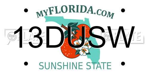 13DUSW Florida License Plate