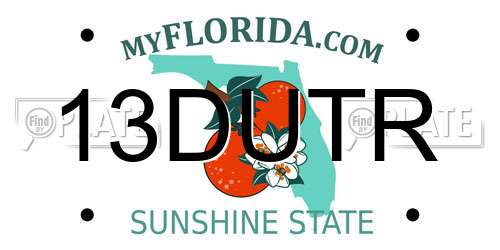 13DUTR Florida License Plate