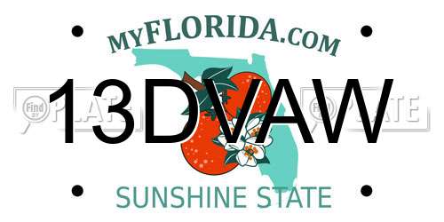 13DVAW Florida License Plate