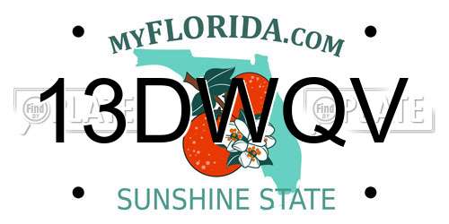 13DWQV Florida License Plate