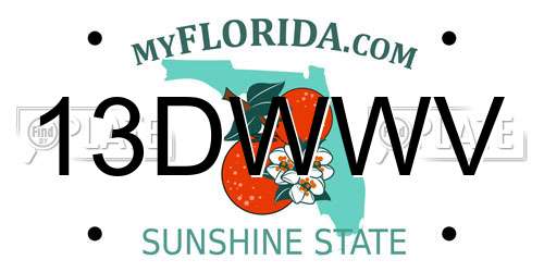 13DWWV Florida License Plate