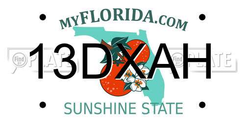 13DXAH Florida License Plate