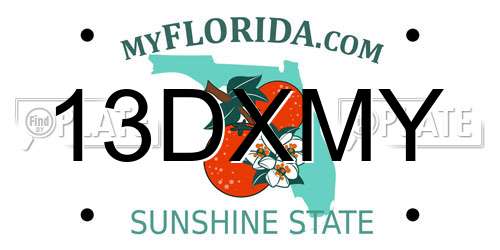 13DXMY Florida License Plate