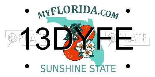 13DYFE Florida License Plate