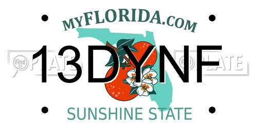 13DYNF Florida License Plate