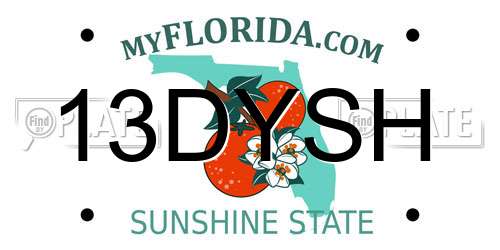 13DYSH Florida License Plate