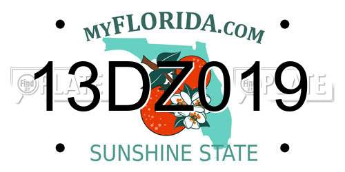 13DZ019 Florida License Plate