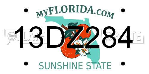 13DZ284 Florida License Plate