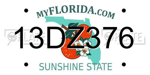13DZ376 Florida License Plate