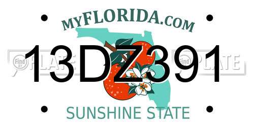 13DZ391 Florida License Plate