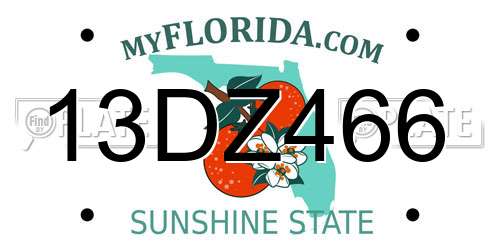 13DZ466 Florida License Plate