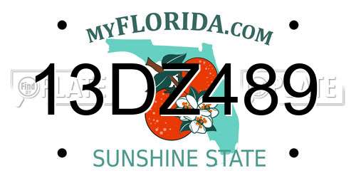 13DZ489 Florida License Plate