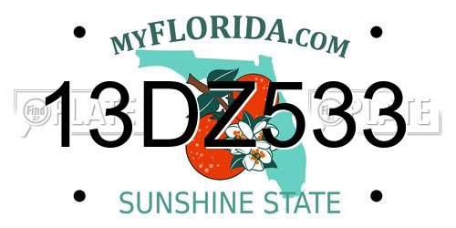 13DZ533 Florida License Plate