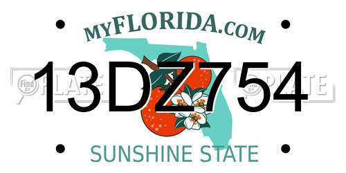 13DZ754 Florida License Plate