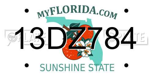 13DZ784 Florida License Plate