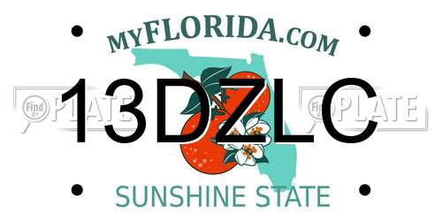 13DZLC Florida License Plate
