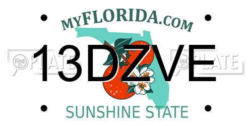 13DZVE Florida License Plate