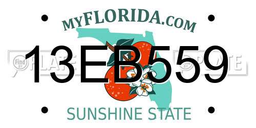 13EB559 Florida License Plate
