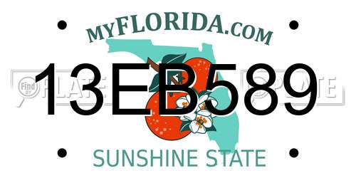 13EB589 Florida License Plate