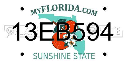 13EB594 Florida License Plate