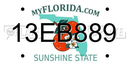 13EB889 Florida License Plate