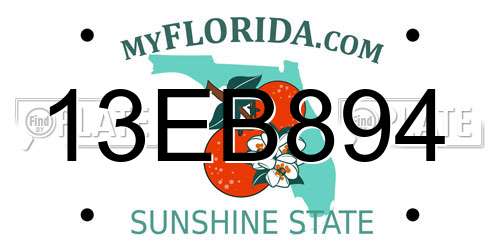 13EB894 Florida License Plate