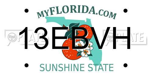 13EBVH Florida License Plate