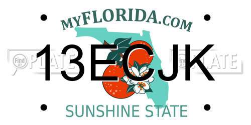 13ECJK Florida License Plate