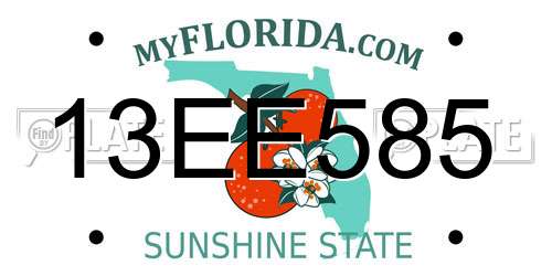 13EE585 Florida License Plate
