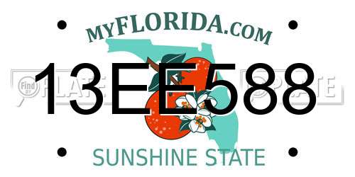 13EE588 Florida License Plate