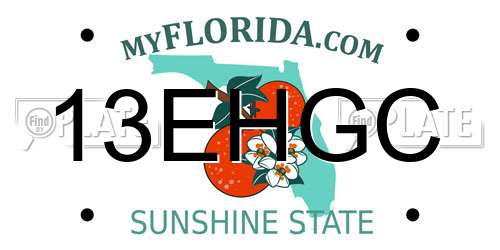 13EHGC Florida License Plate