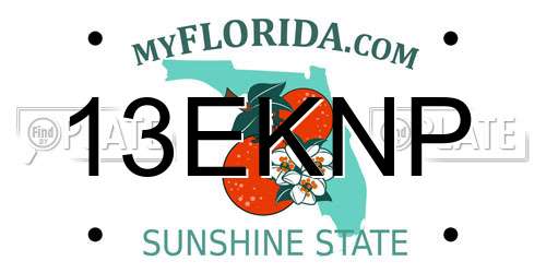 13EKNP Florida License Plate